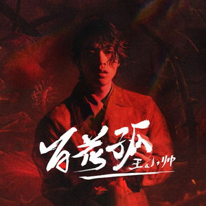 巧露影视免费观看电视剧的优点
