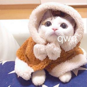 巧露影视免费观看电视剧的优点
